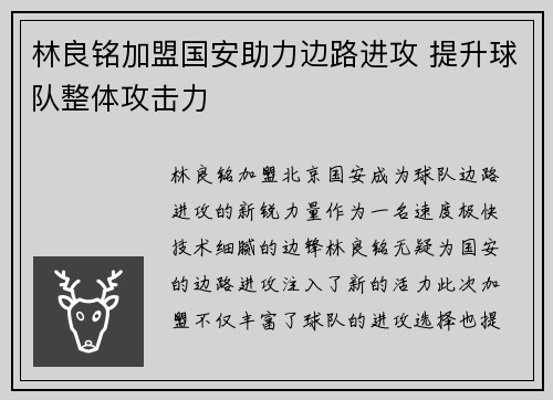 林良铭加盟国安助力边路进攻 提升球队整体攻击力